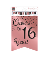 Banner 16 Jaar Roze Zwart 6m